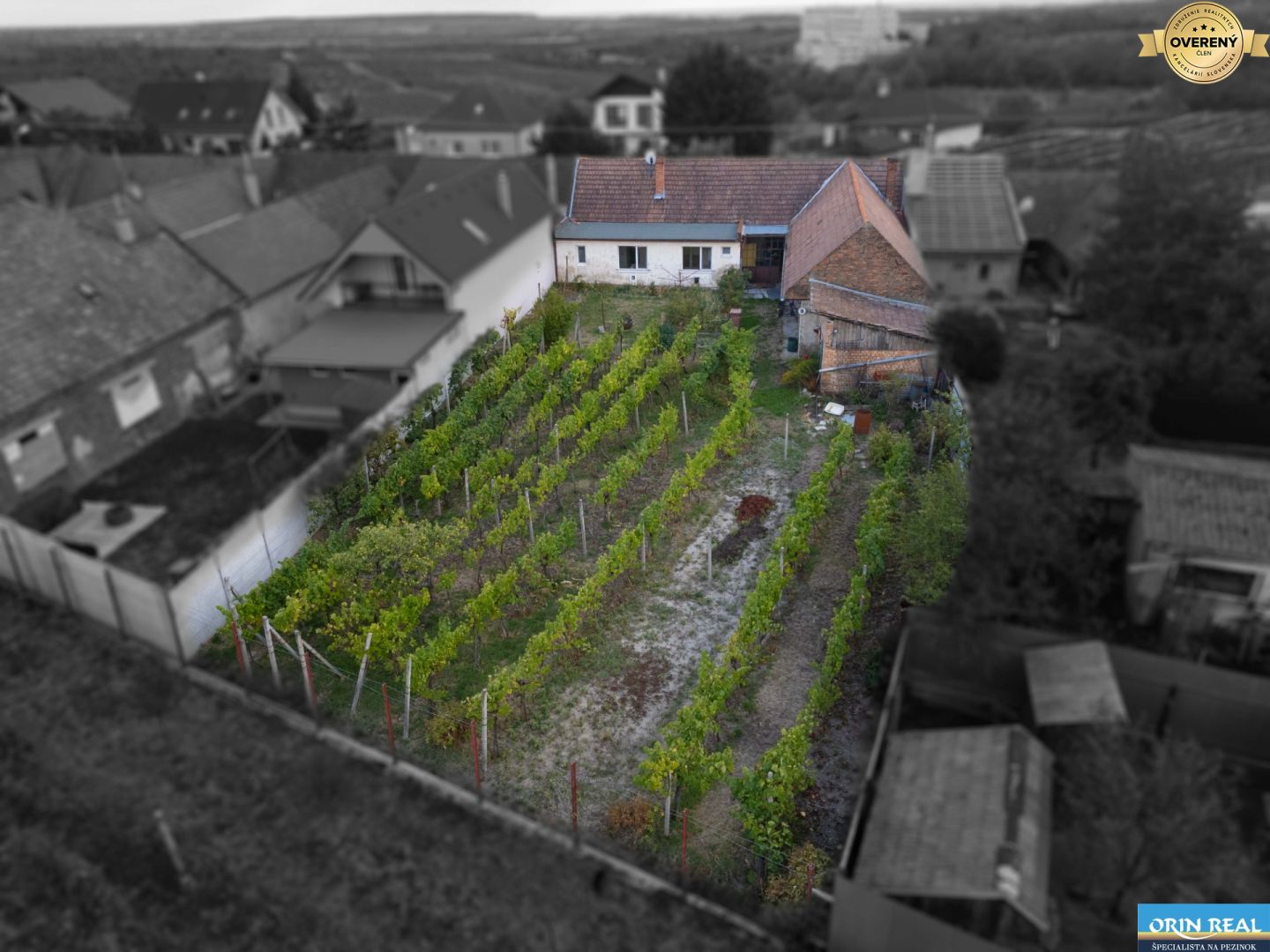 Fotografia č. 6