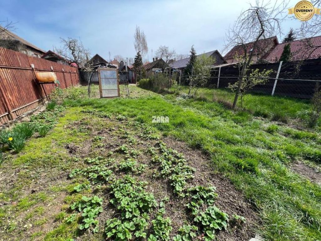 Fotografia č. 5