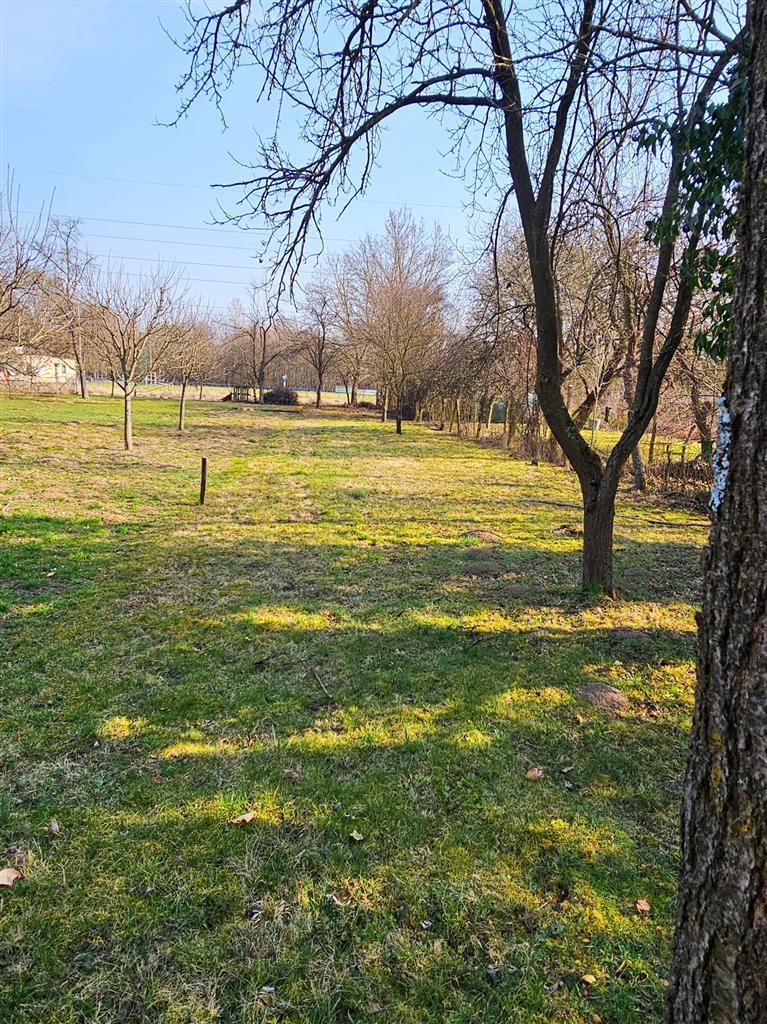 Fotografia č. 4