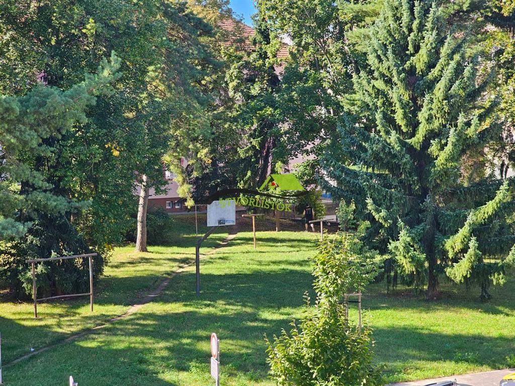 Fotografia č. 16