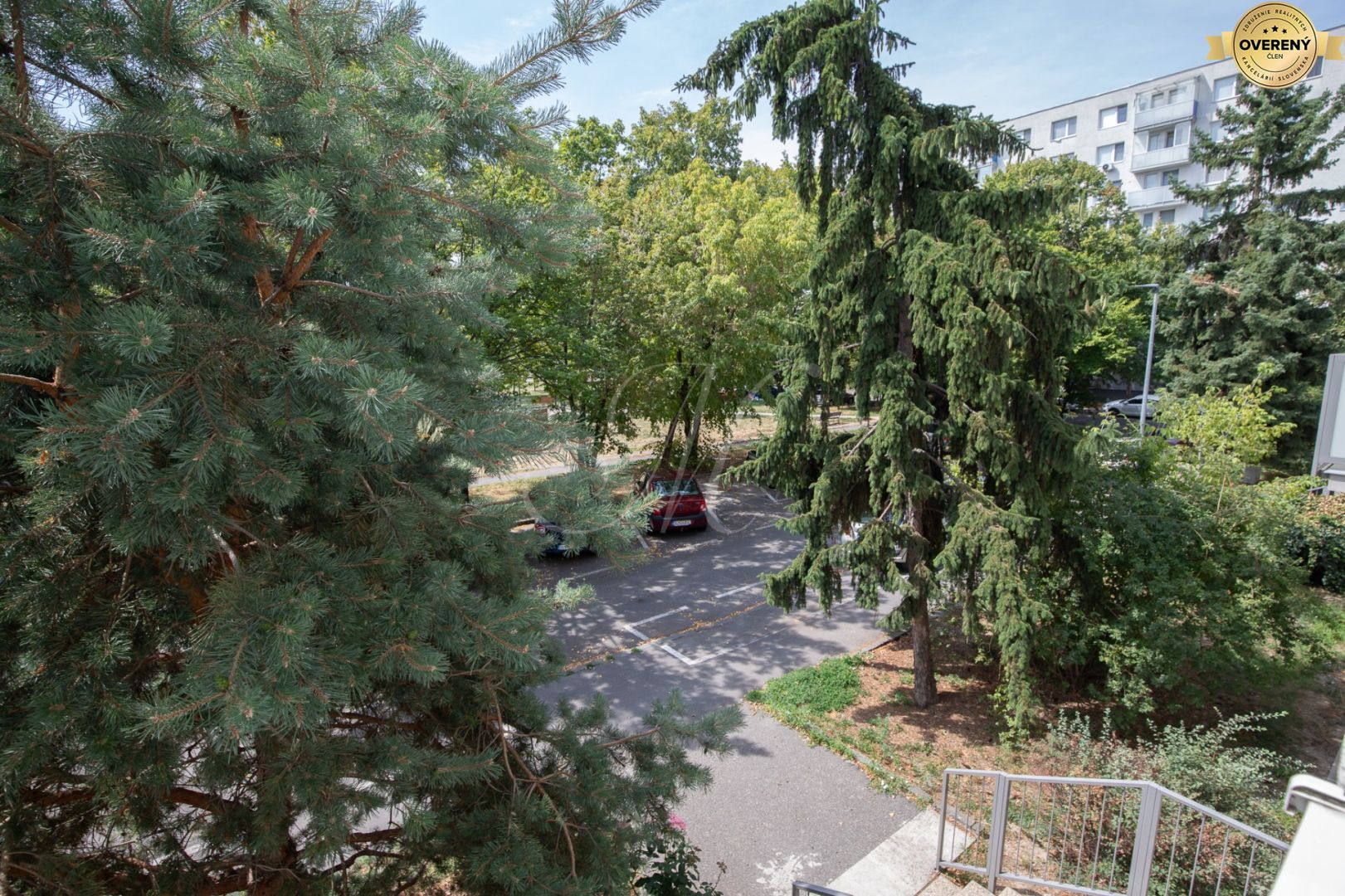 Fotografia č. 12