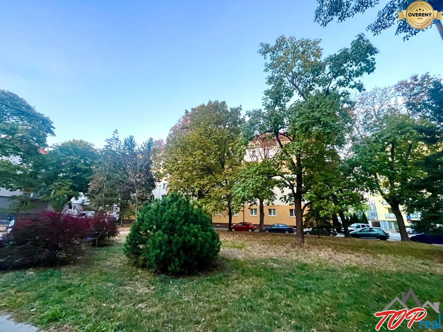 Fotografia č. 11