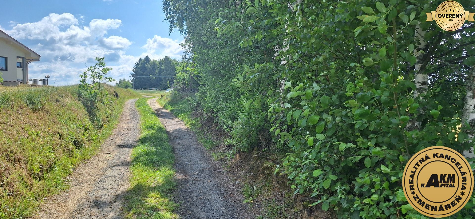 Fotografia č. 5