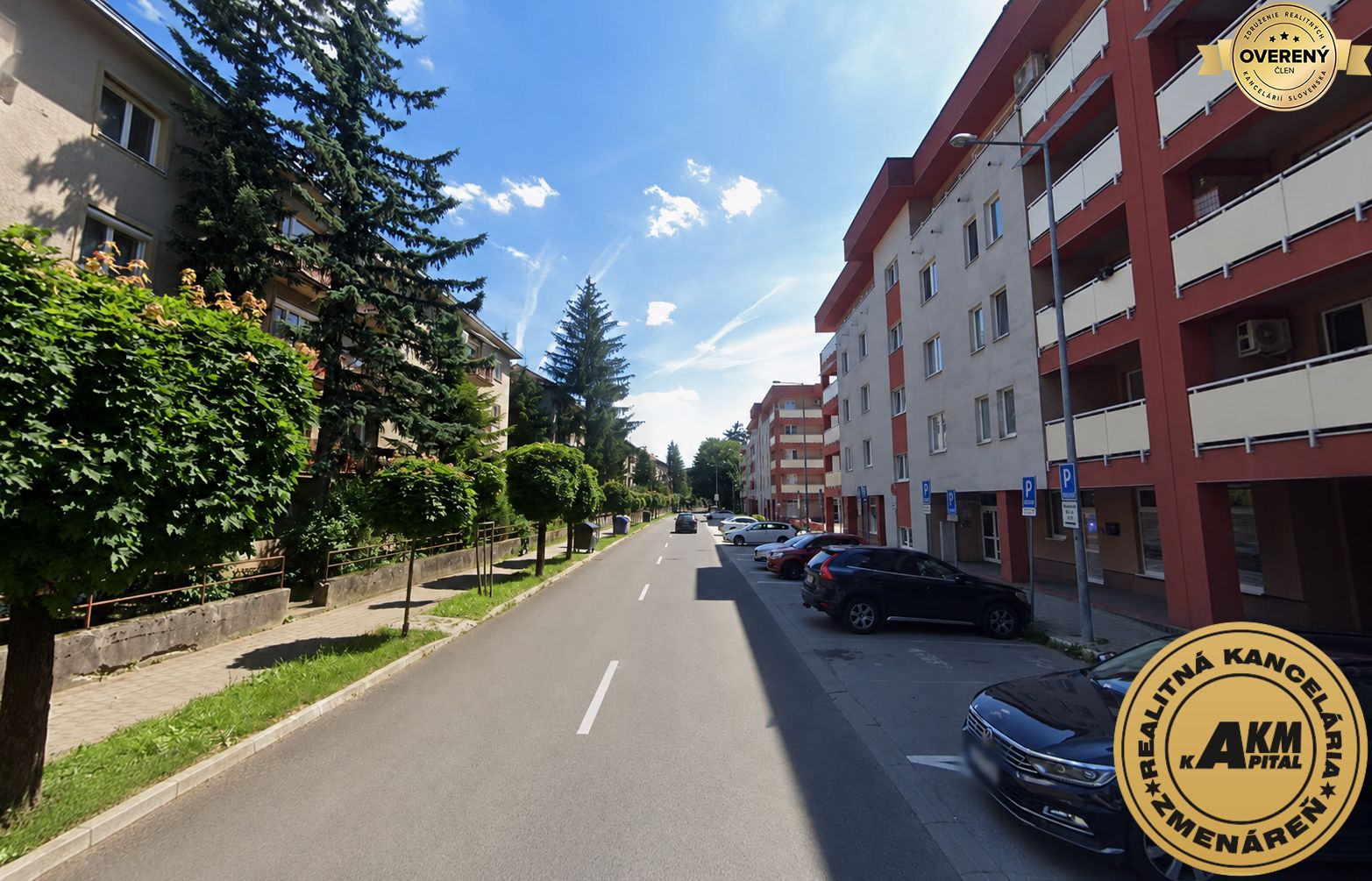 Fotografia č. 12
