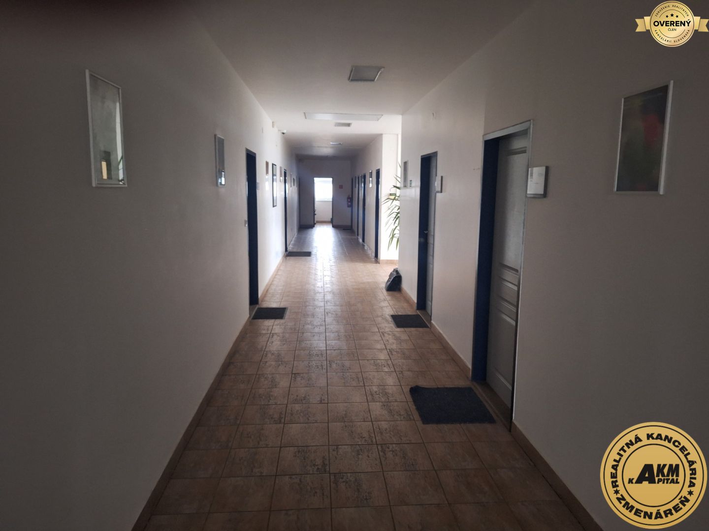 Fotografia č. 6