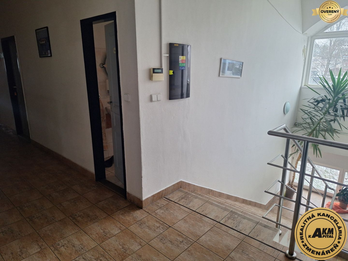 Fotografia č. 5