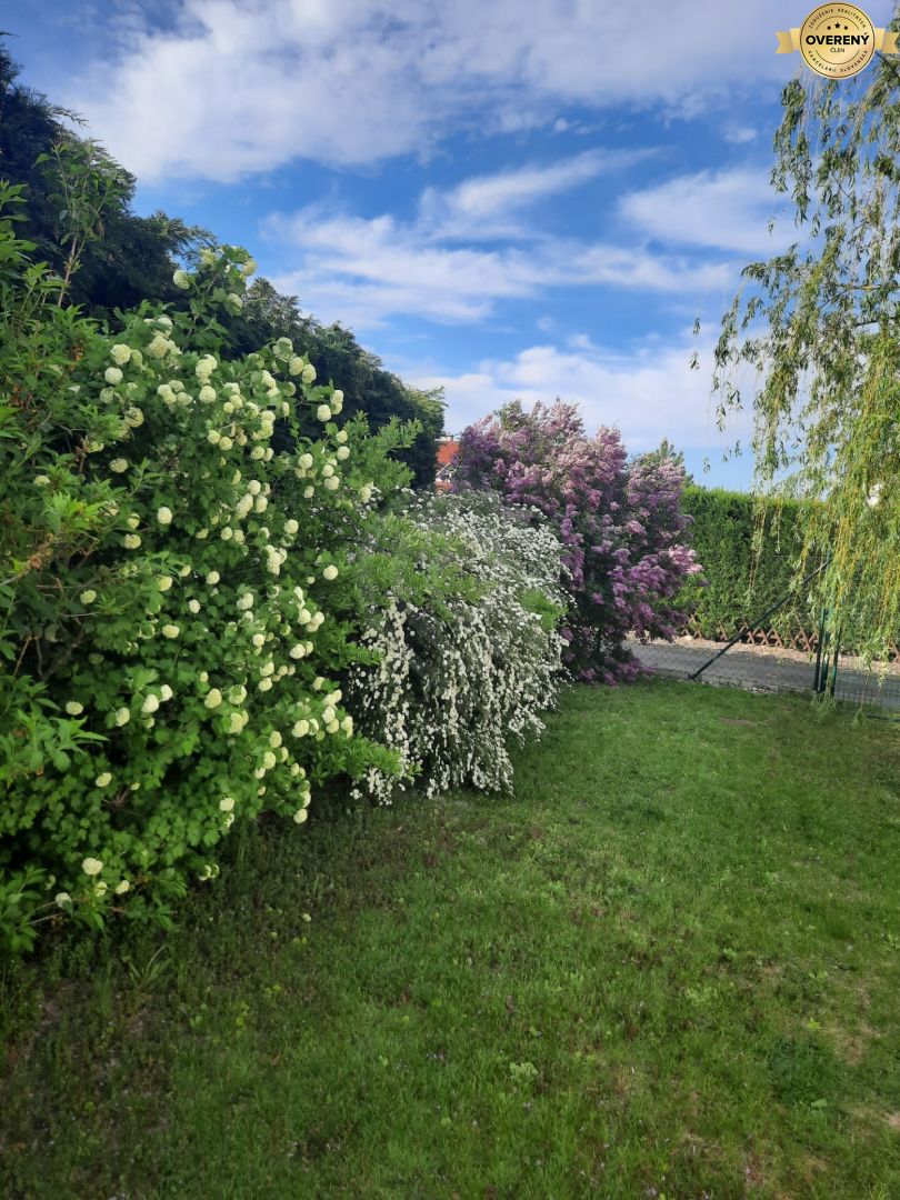 Fotografia č. 18