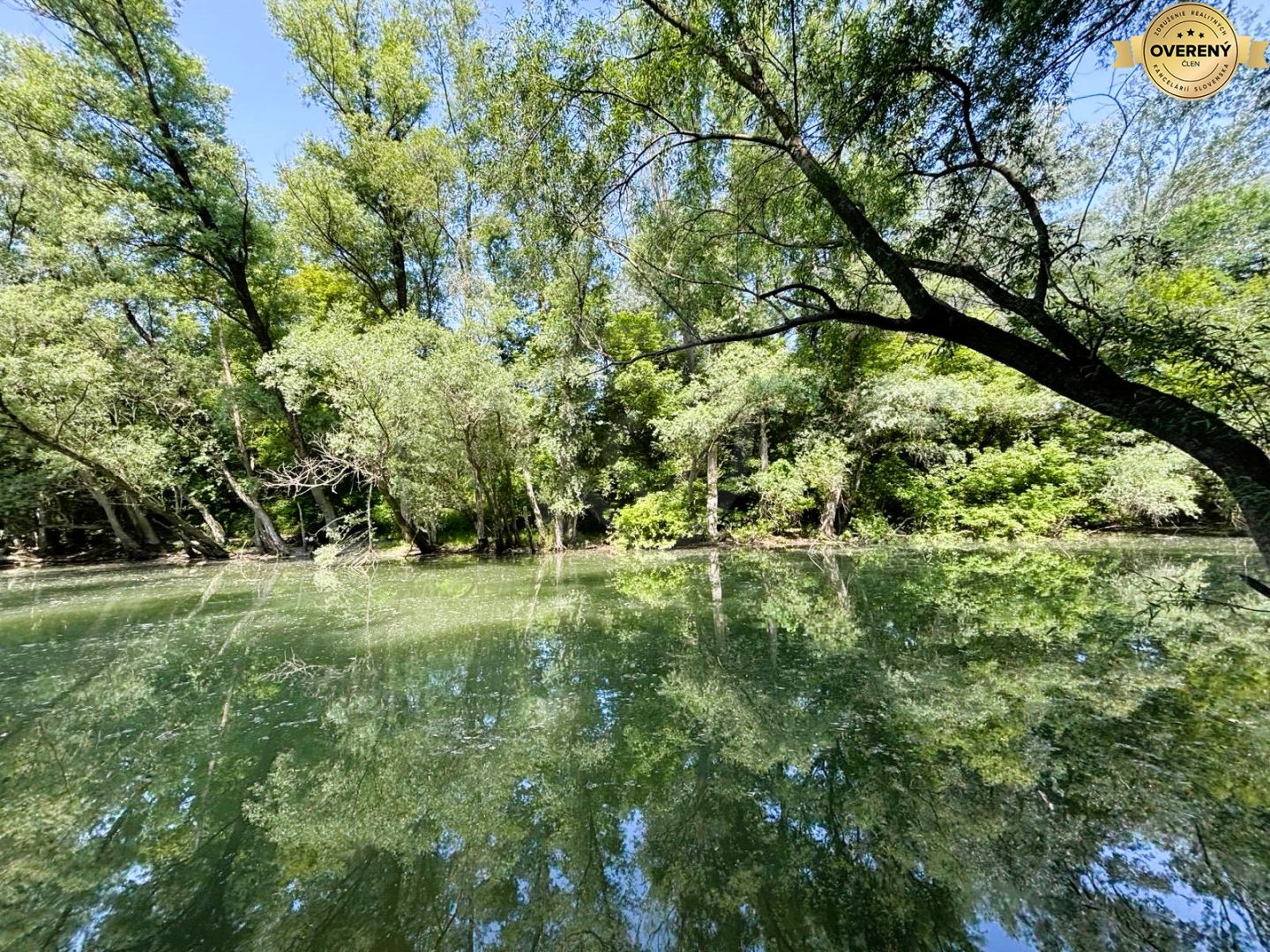 Fotografia č. 5