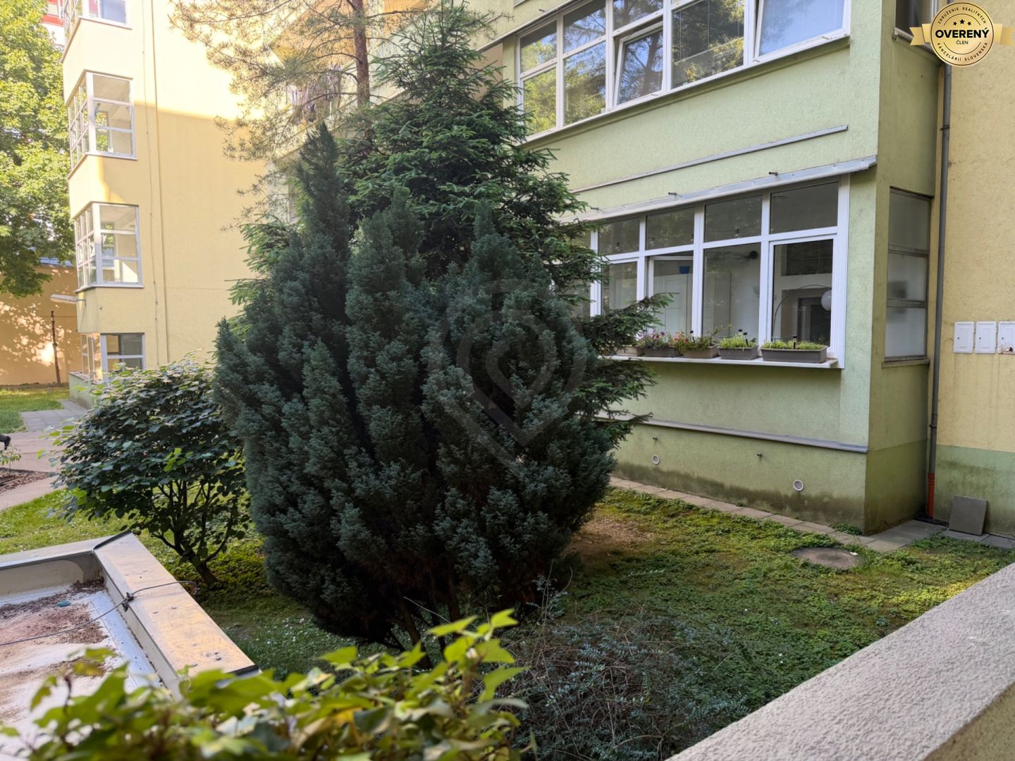 Fotografia č. 7