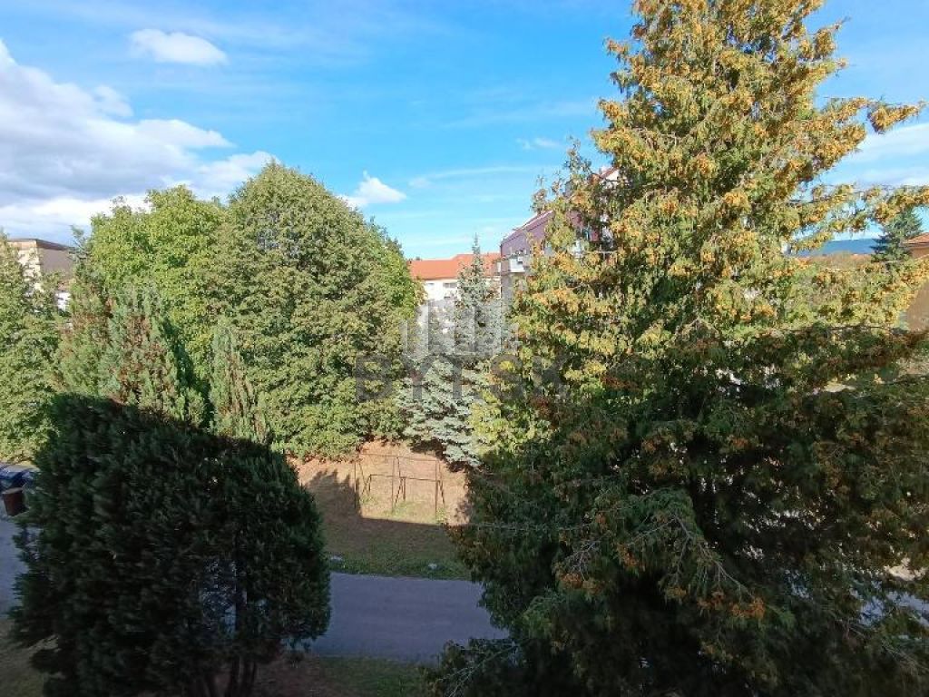 Fotografia č. 6