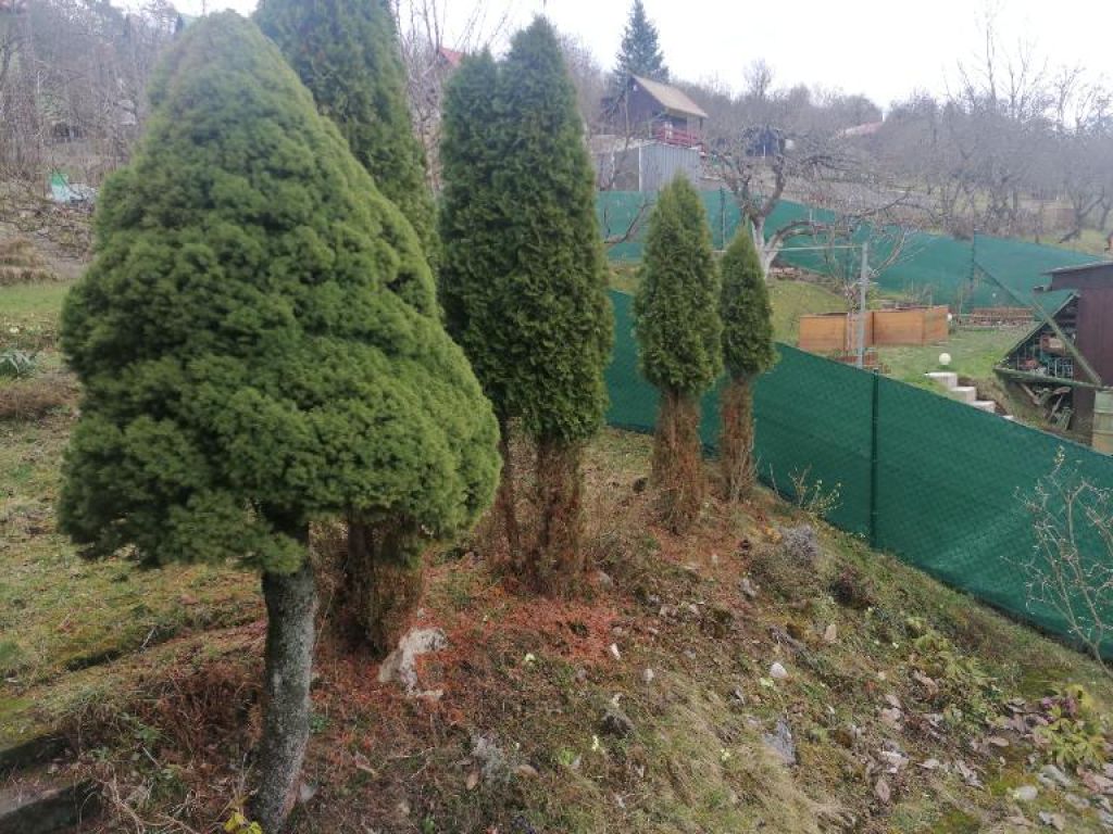Fotografia č. 10