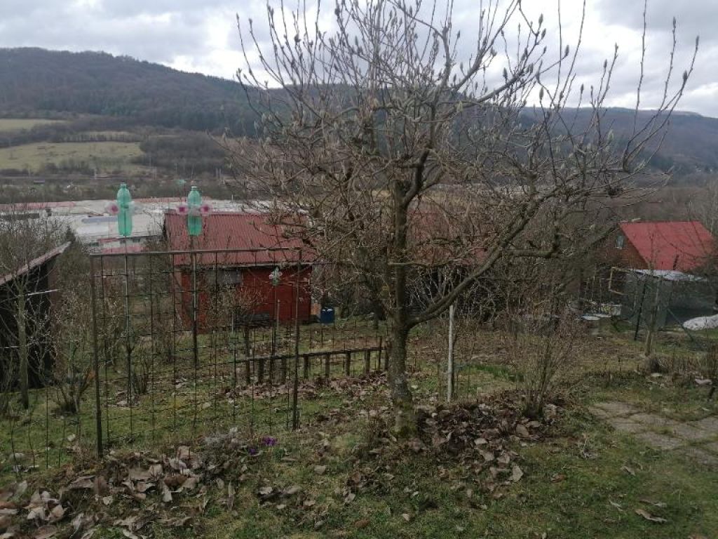 Fotografia č. 2